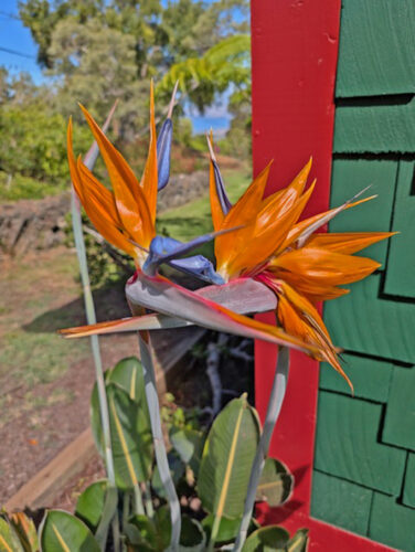 Send your best photos from Maui County to mauiphotos@mauinews.com for a chance to see them featured on our website and in our weekly print edition.